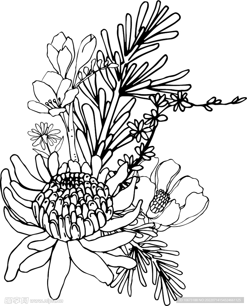花轮廓 