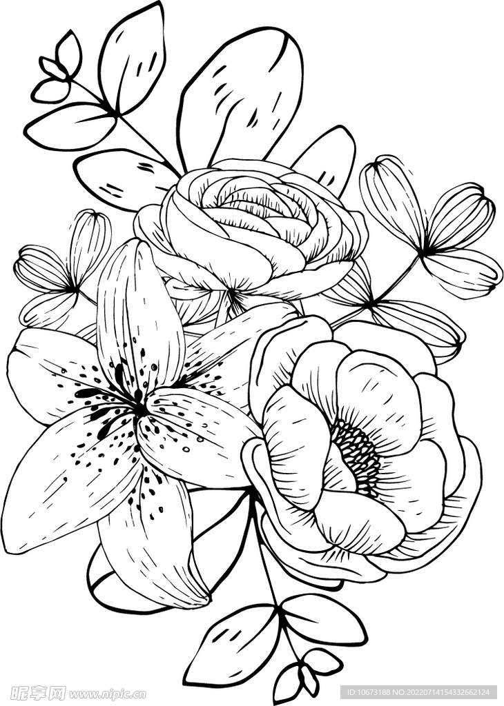 花轮廓 