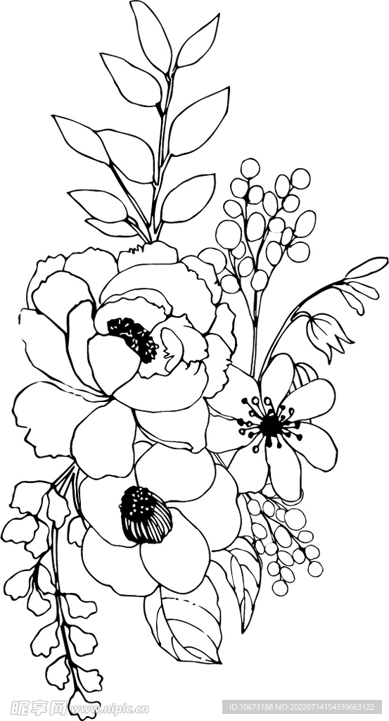 花轮廓