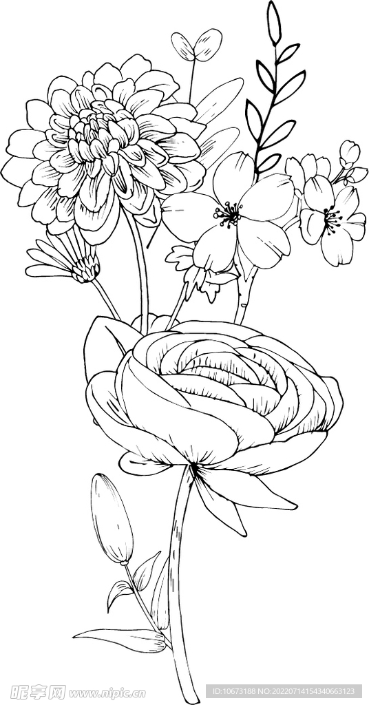 花卉填色图
