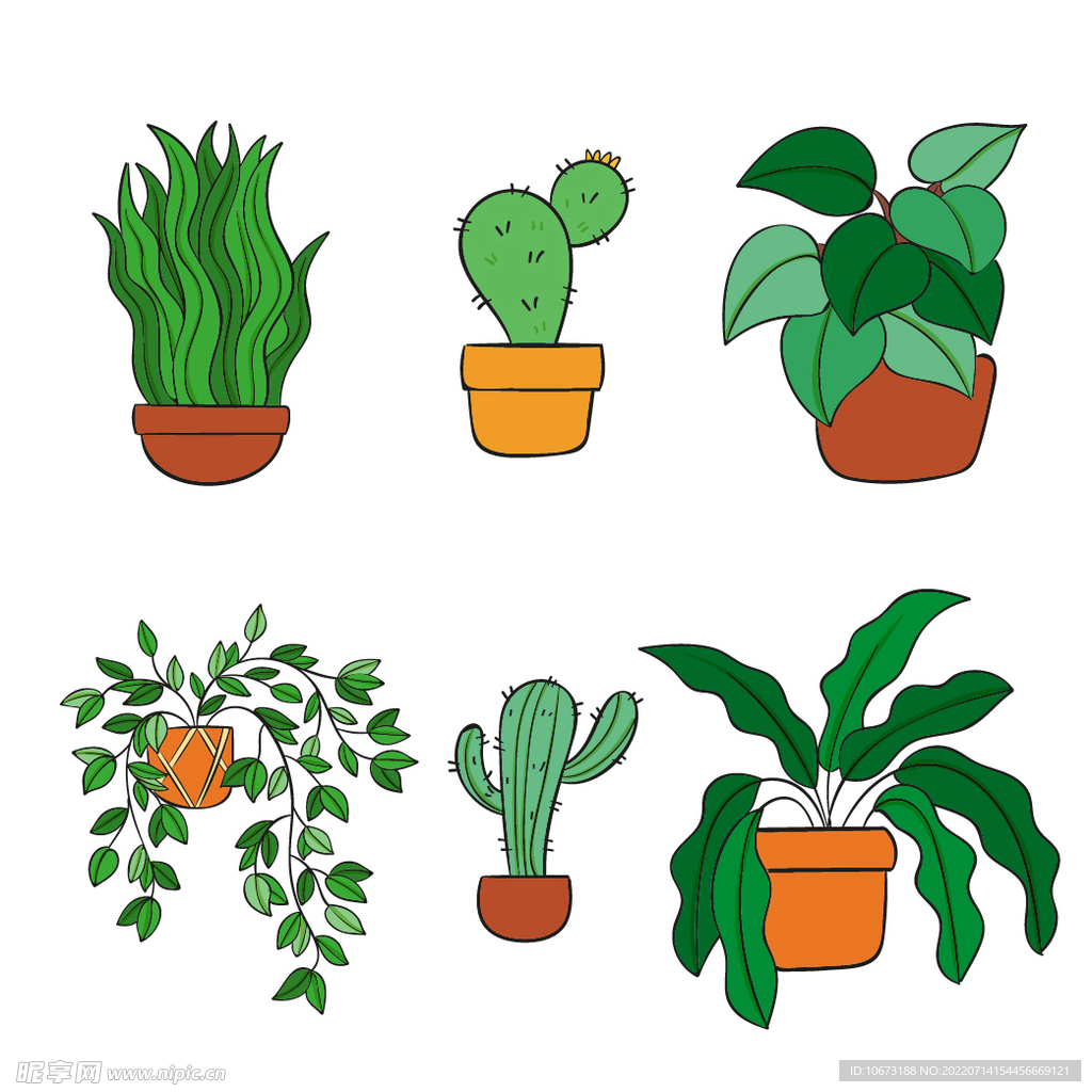 绿色植物 