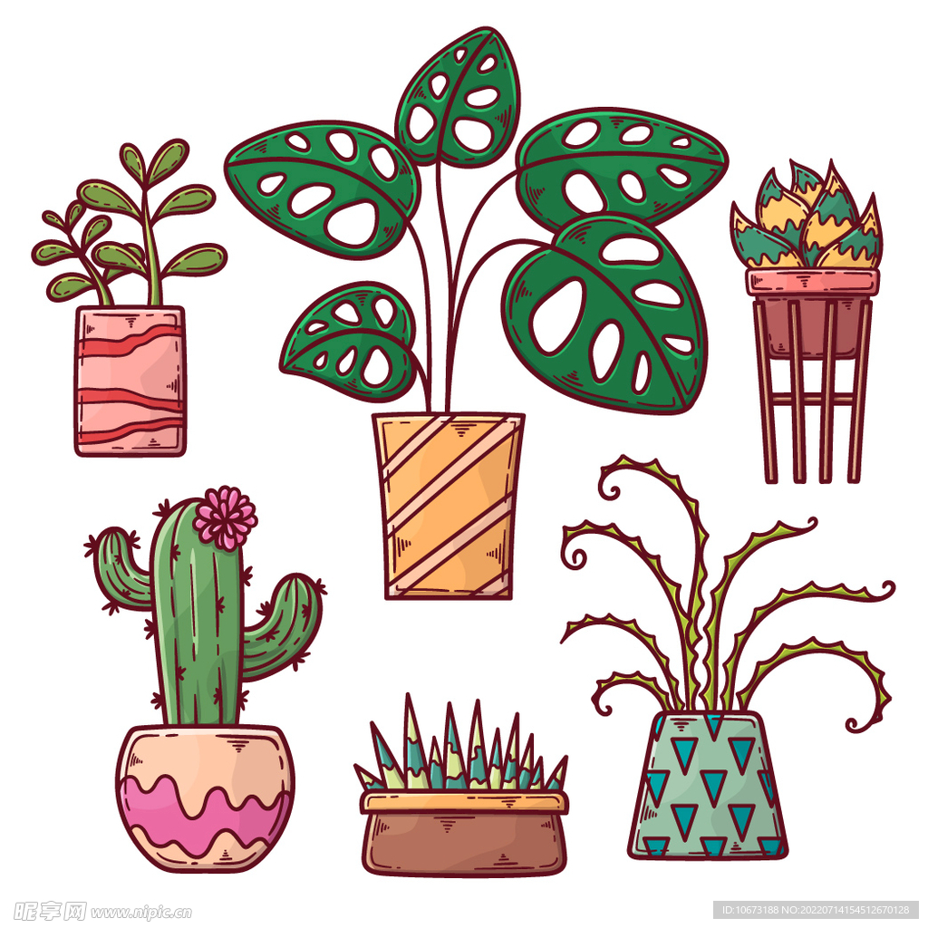 绿色植物 