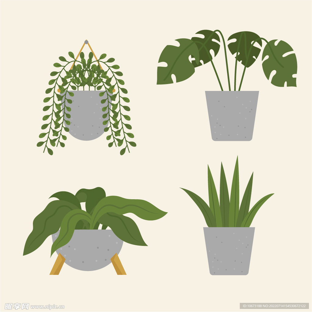 绿色植物 