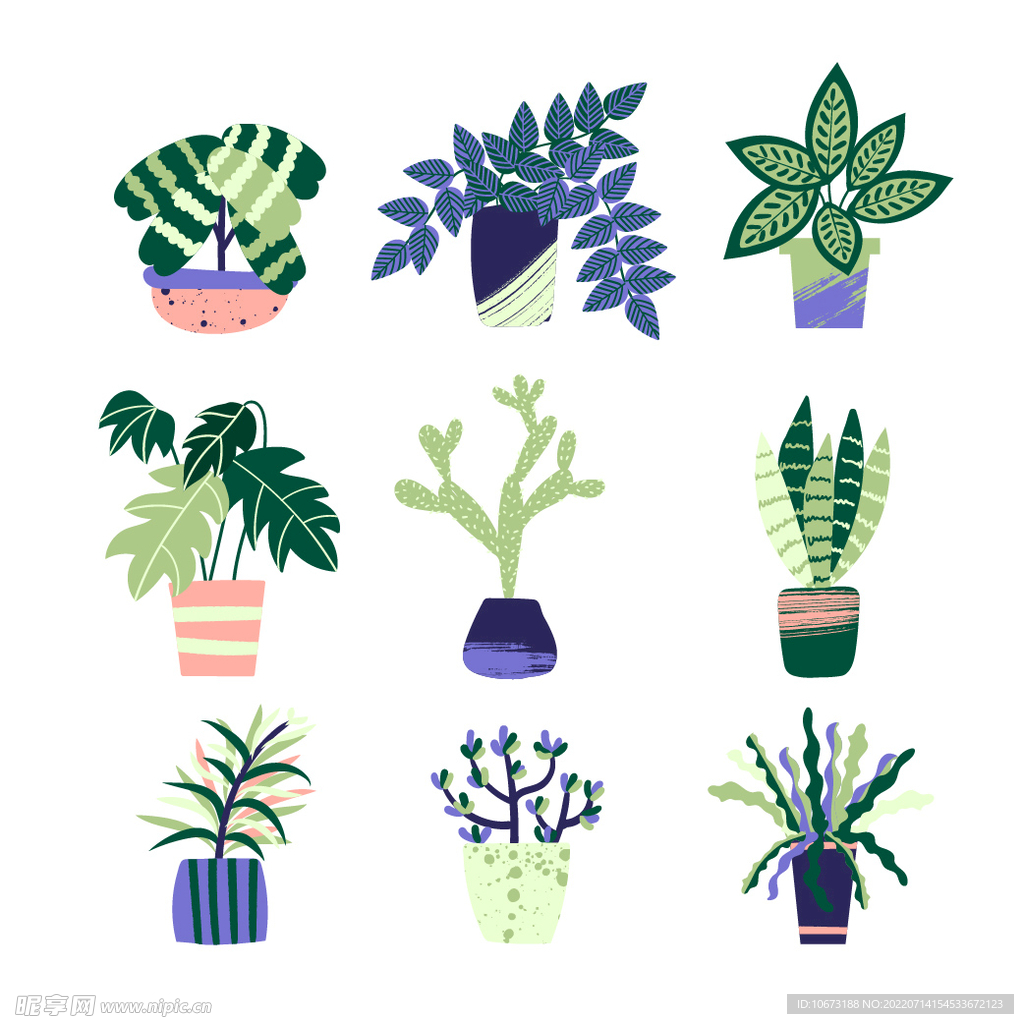 绿色植物 