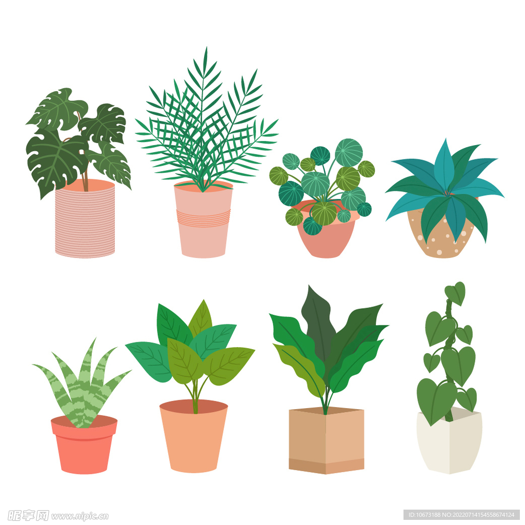 绿色植物 