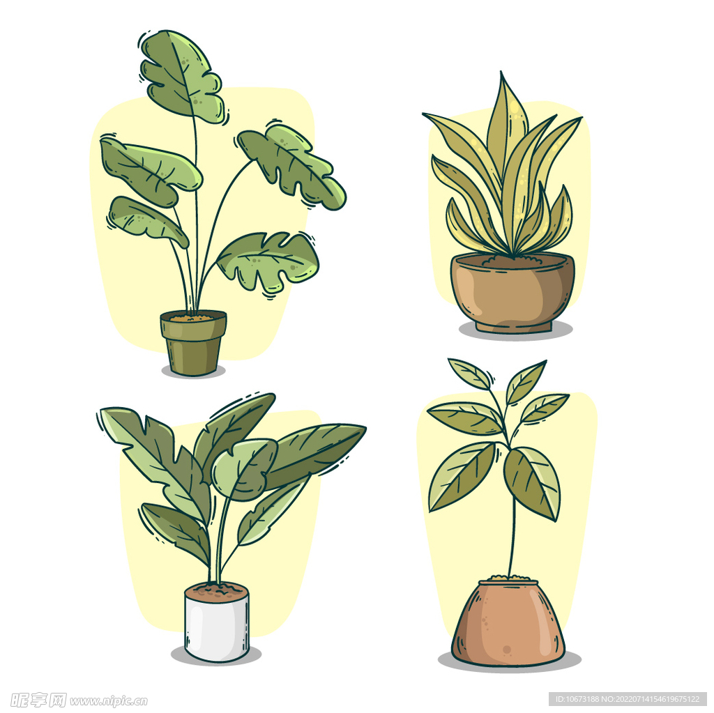 绿色植物 