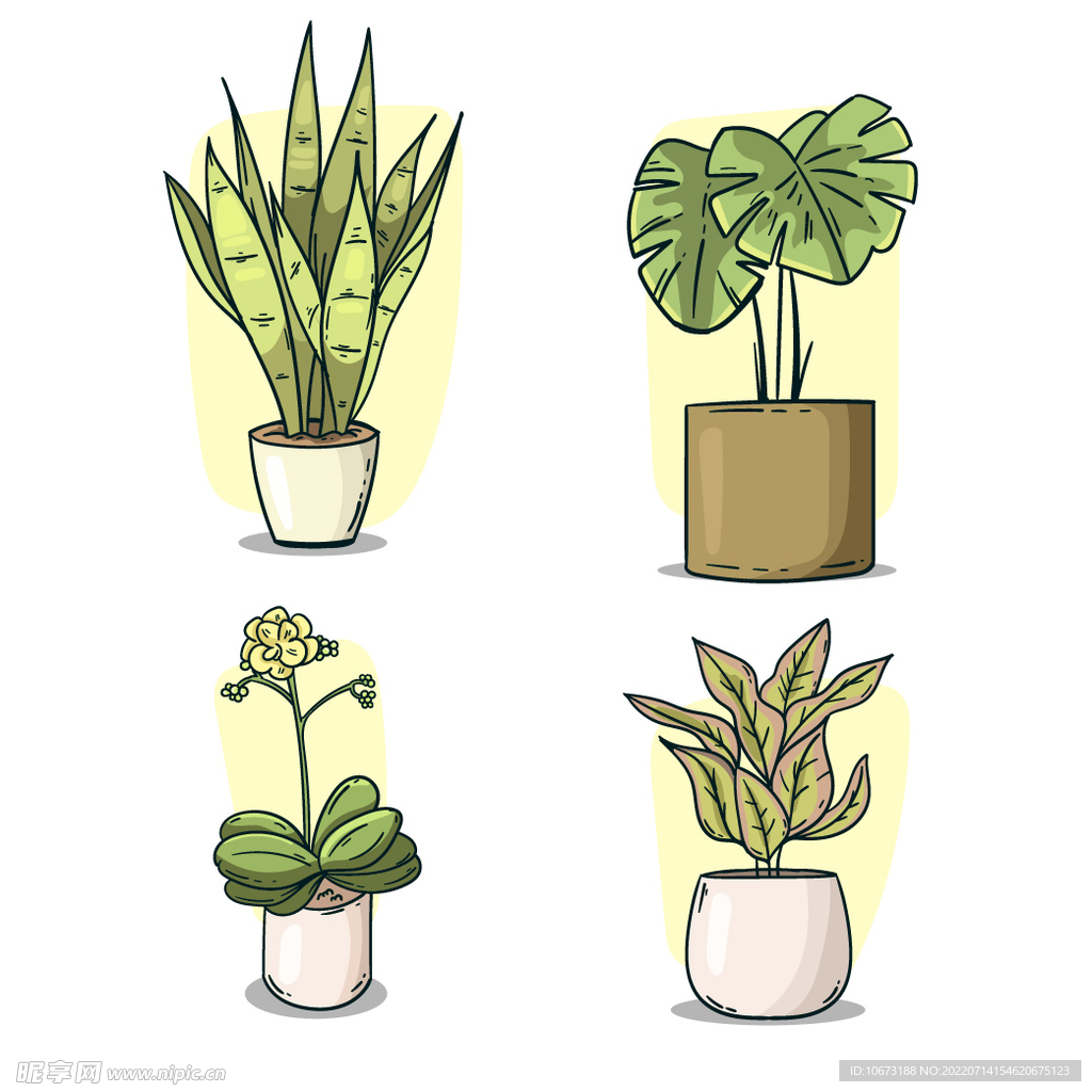 绿色植物 