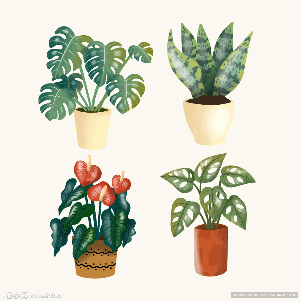 绿色植物 