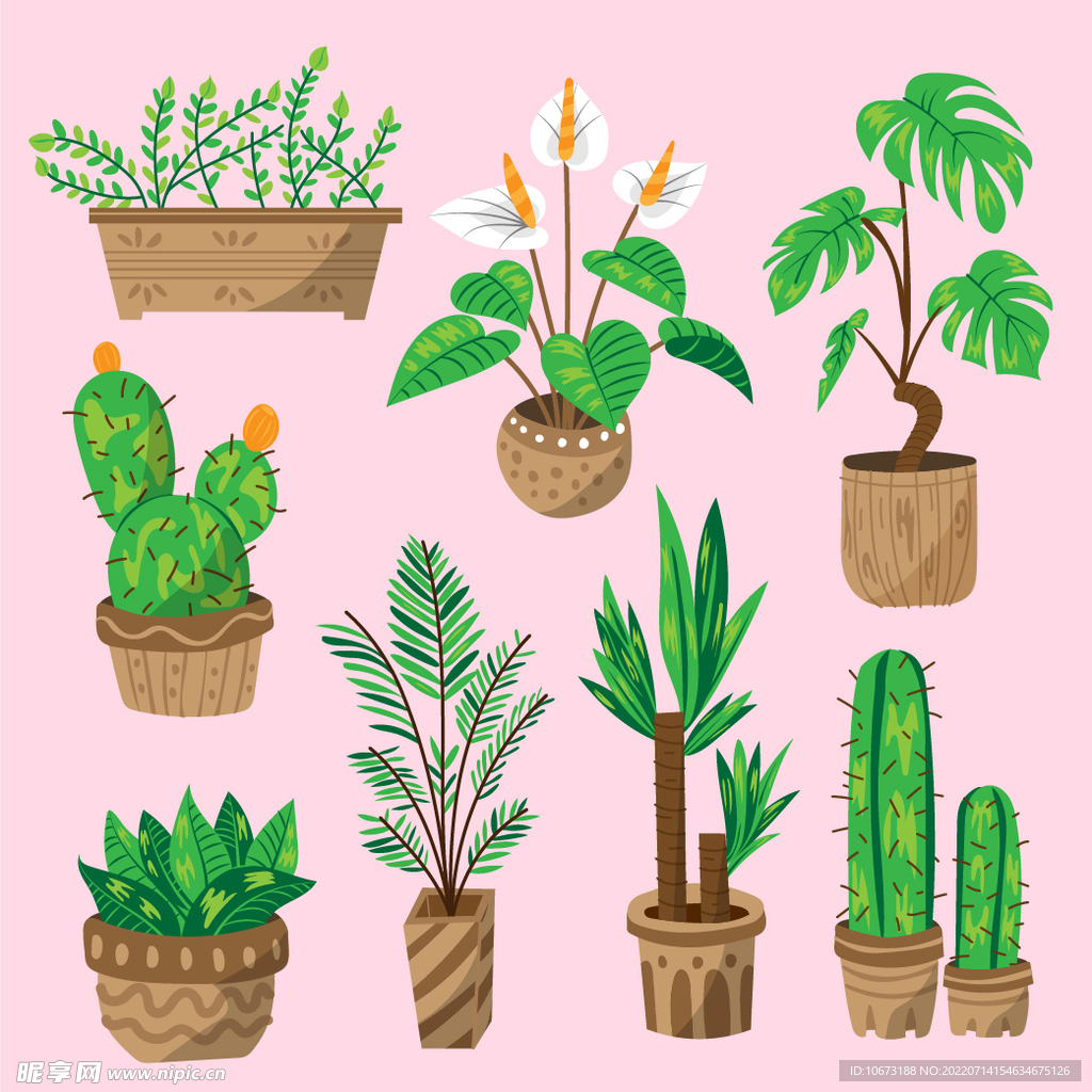 绿色植物 