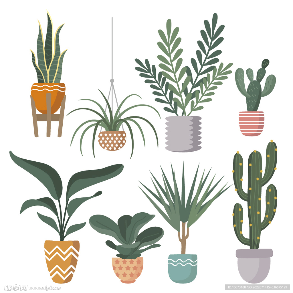 绿色植物 