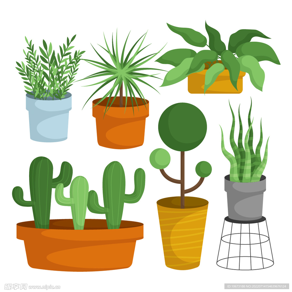 绿色植物 