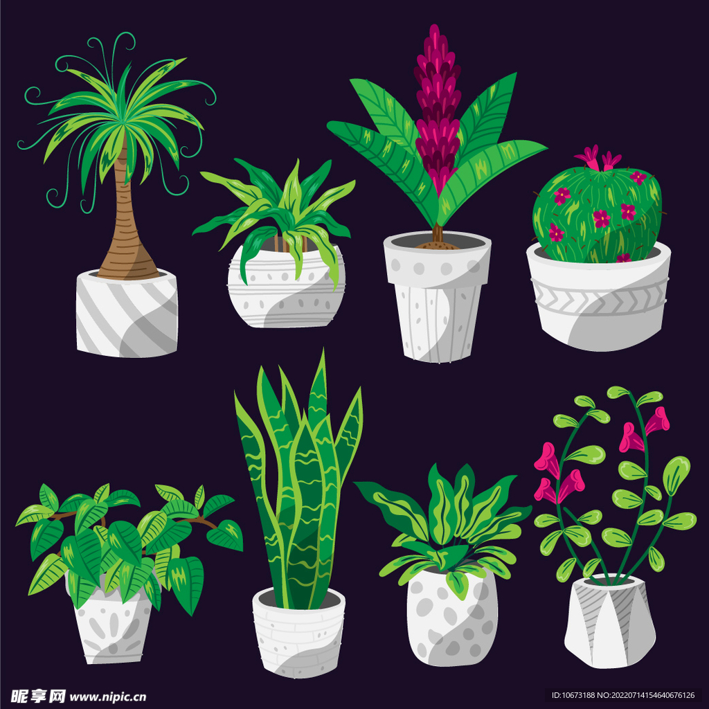 绿色植物 