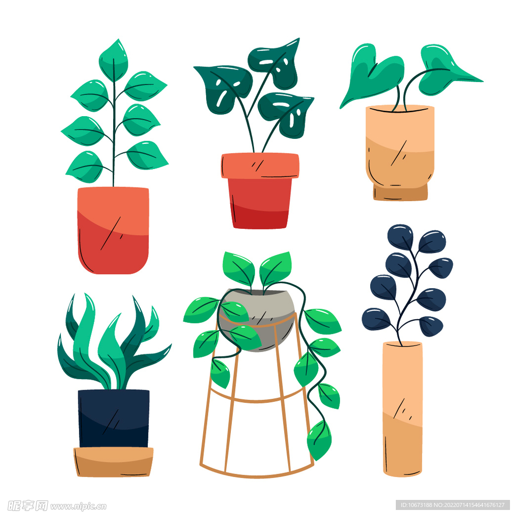 绿色植物 