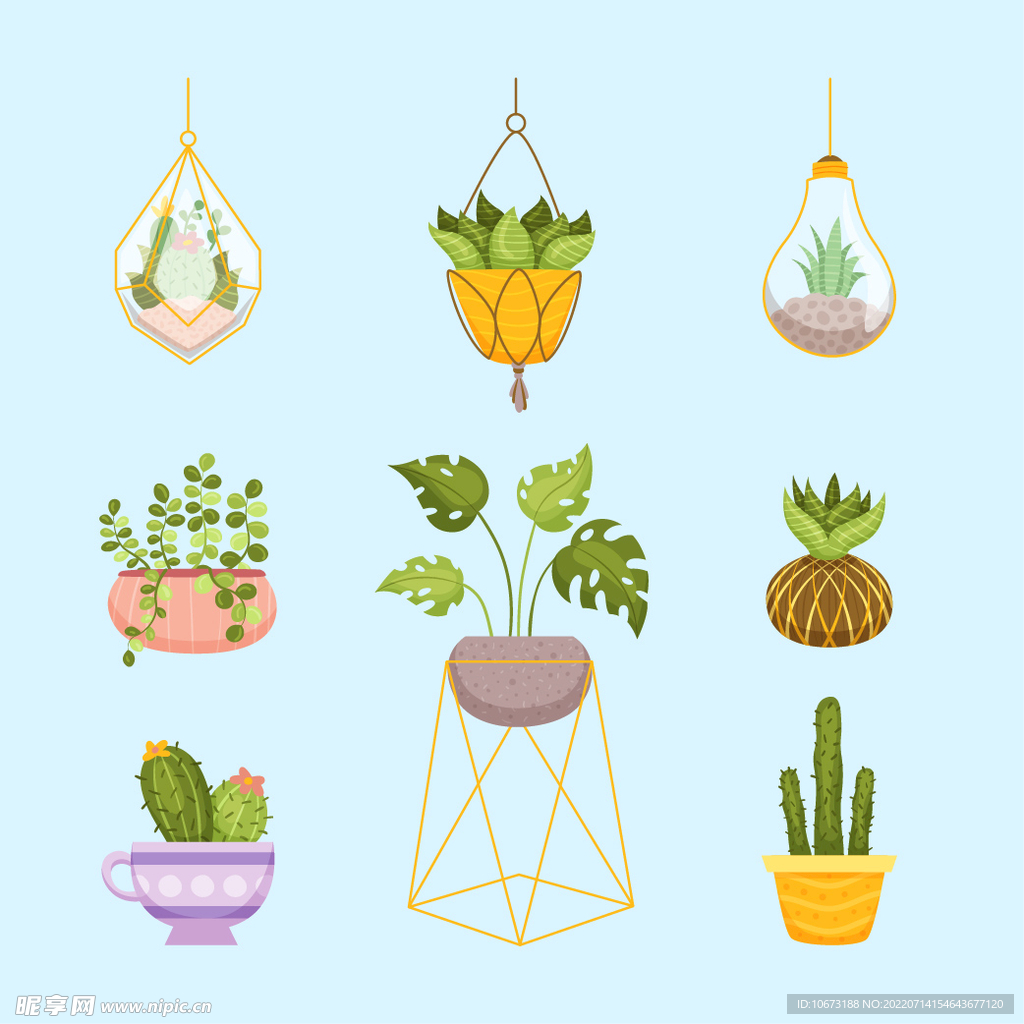 绿色植物 