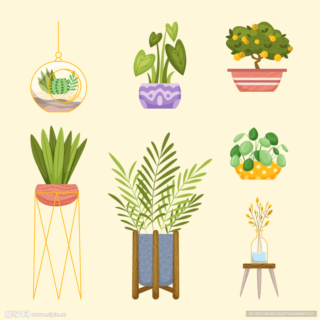 绿色植物 