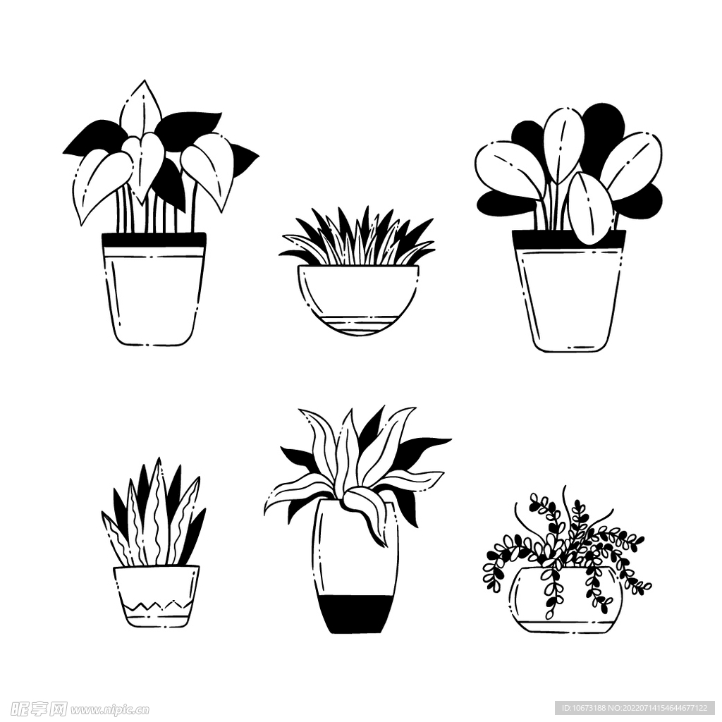 绿色植物 