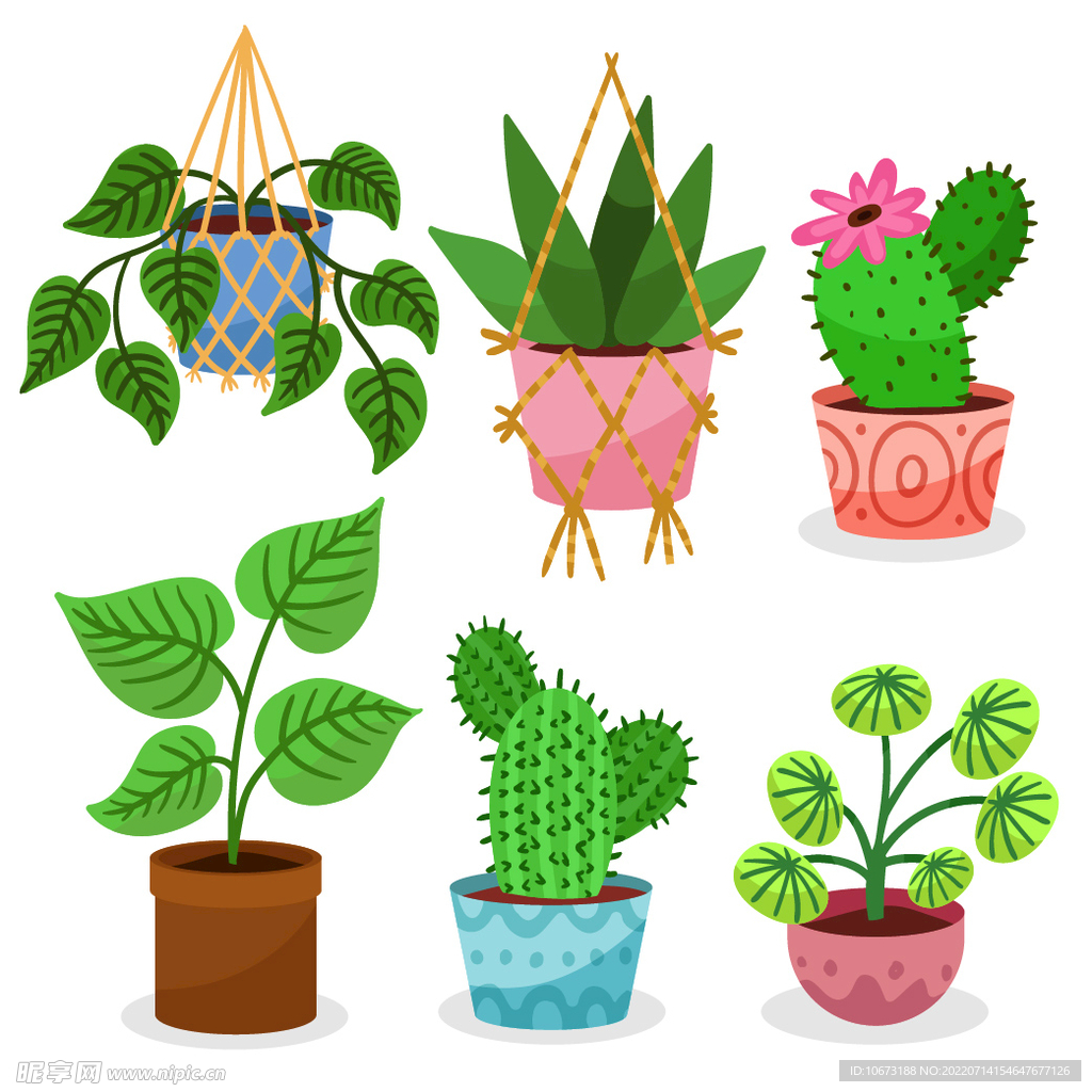 绿色植物 