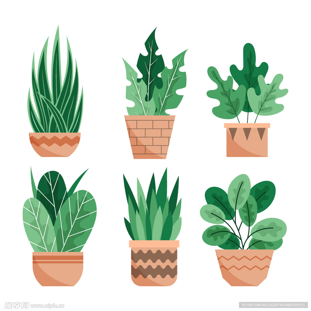 绿色植物 