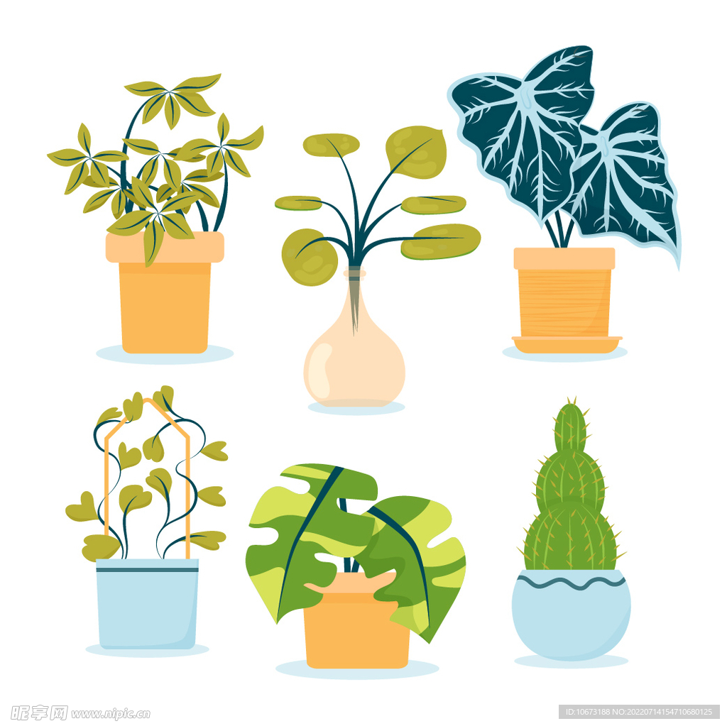 绿色植物 