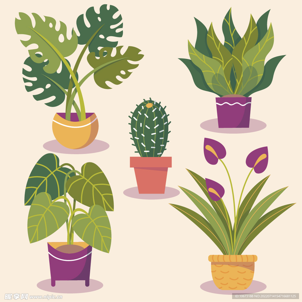 绿色植物 