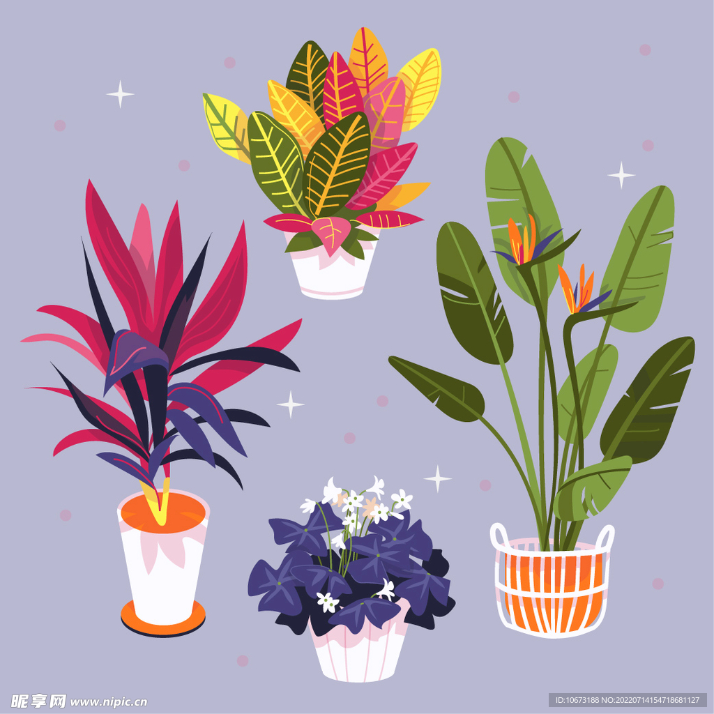绿色植物 