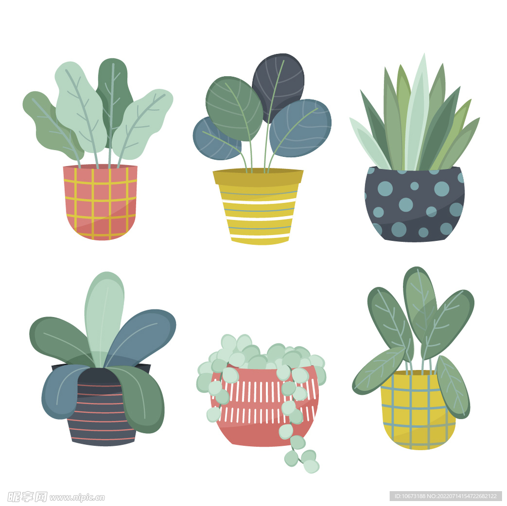 绿色植物 