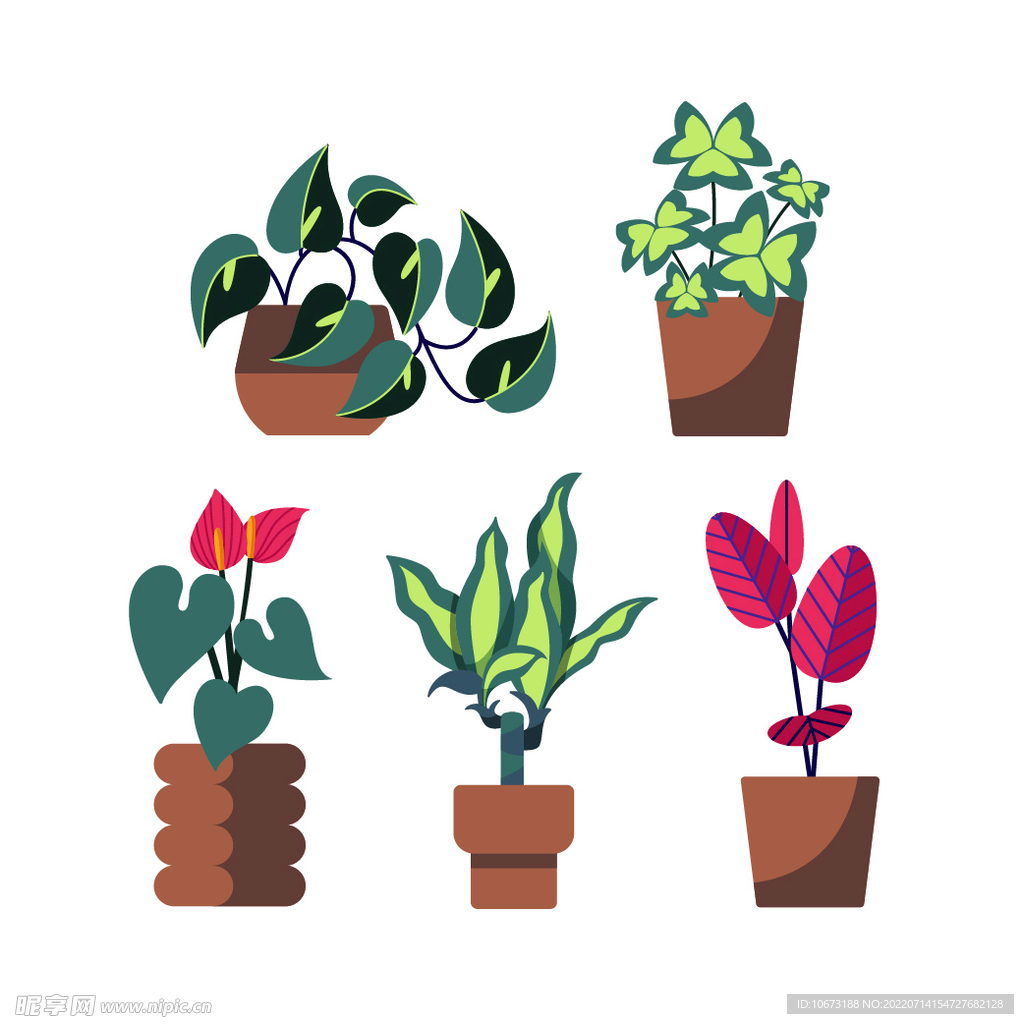 绿色植物 