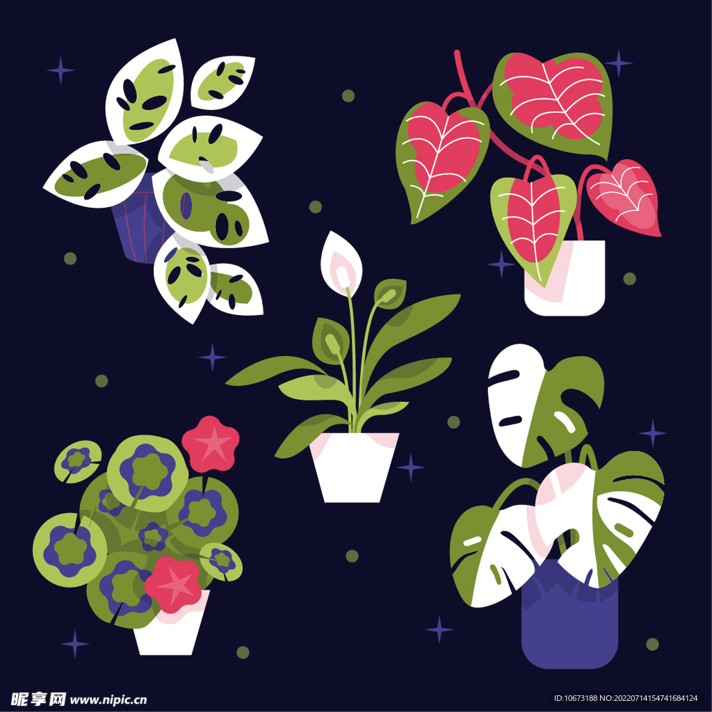 绿色植物