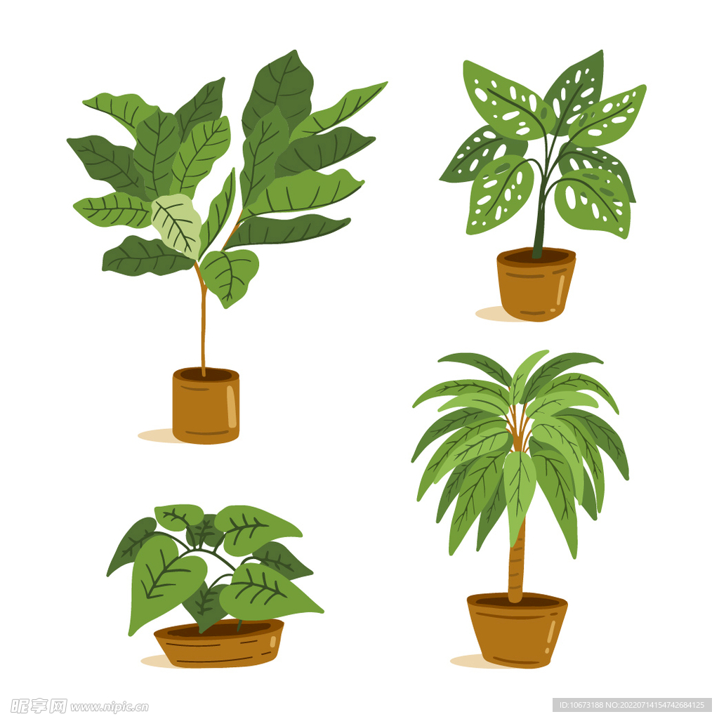 绿色植物