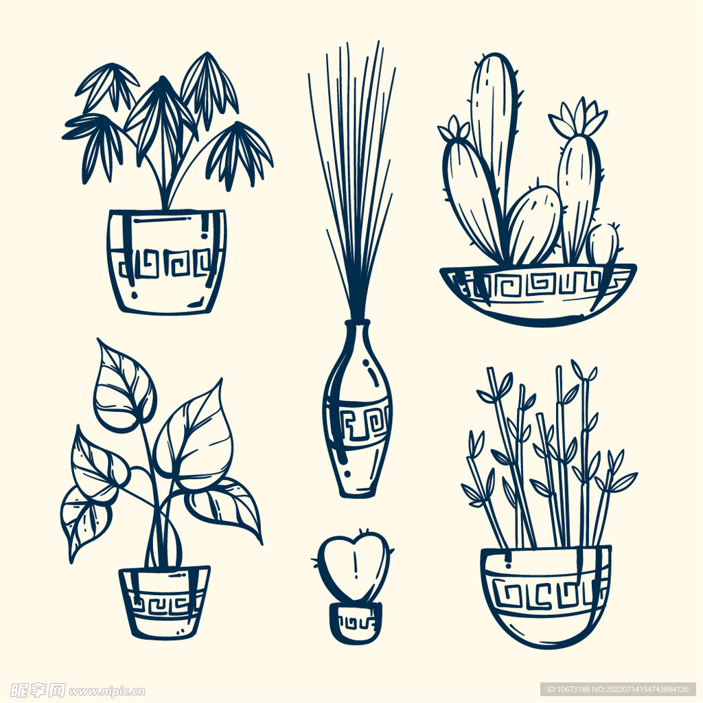 绿色植物