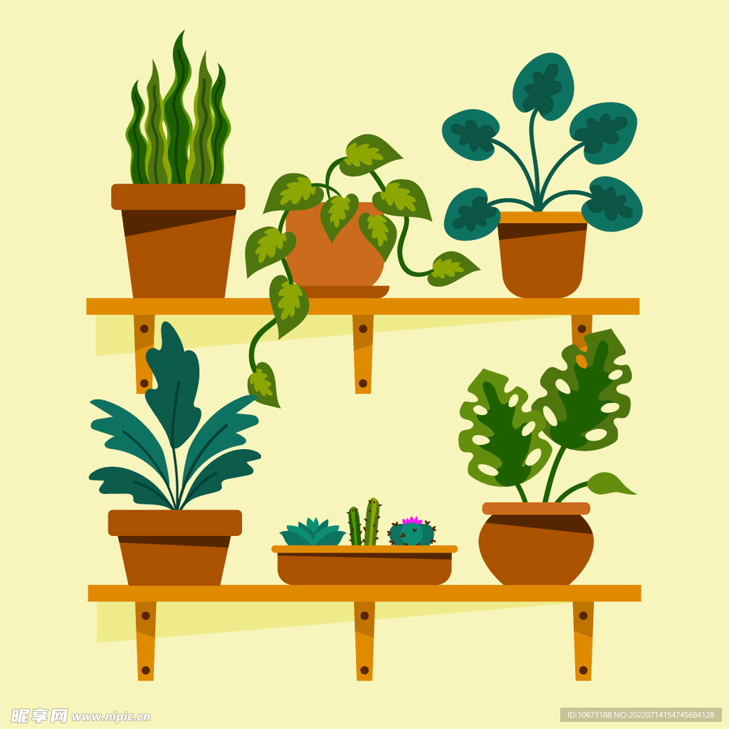 绿色植物