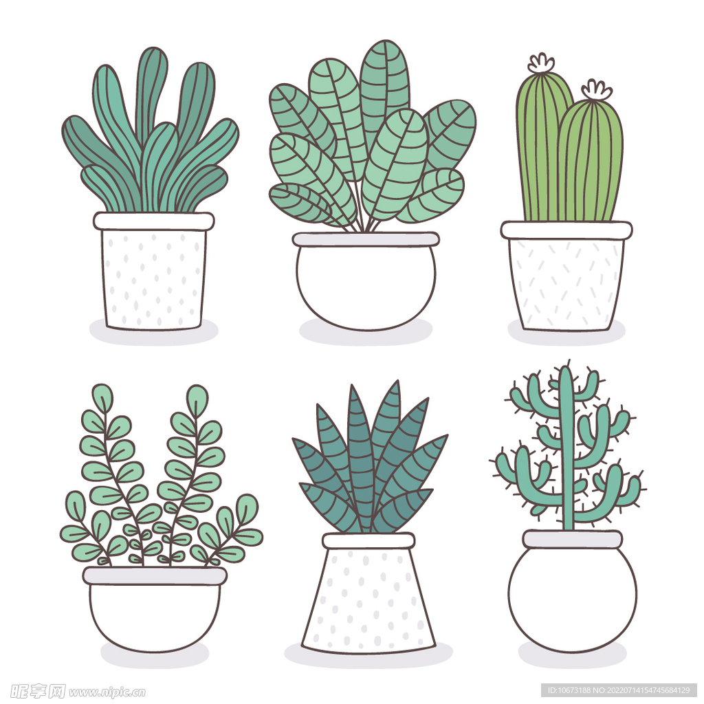 绿色植物