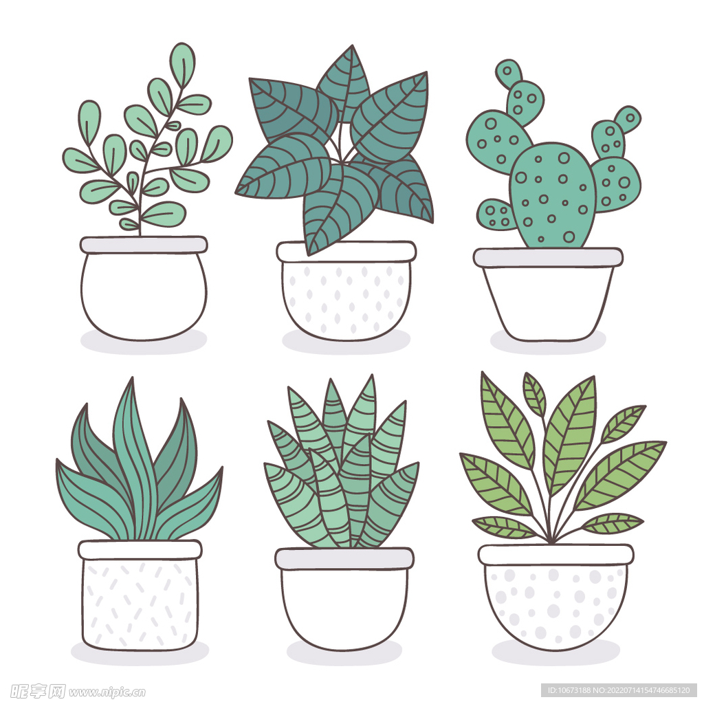 绿色植物
