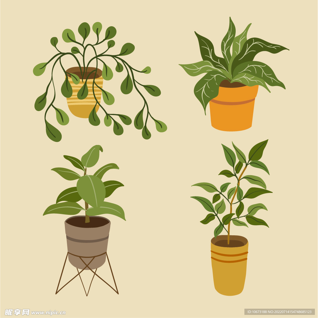 绿色植物