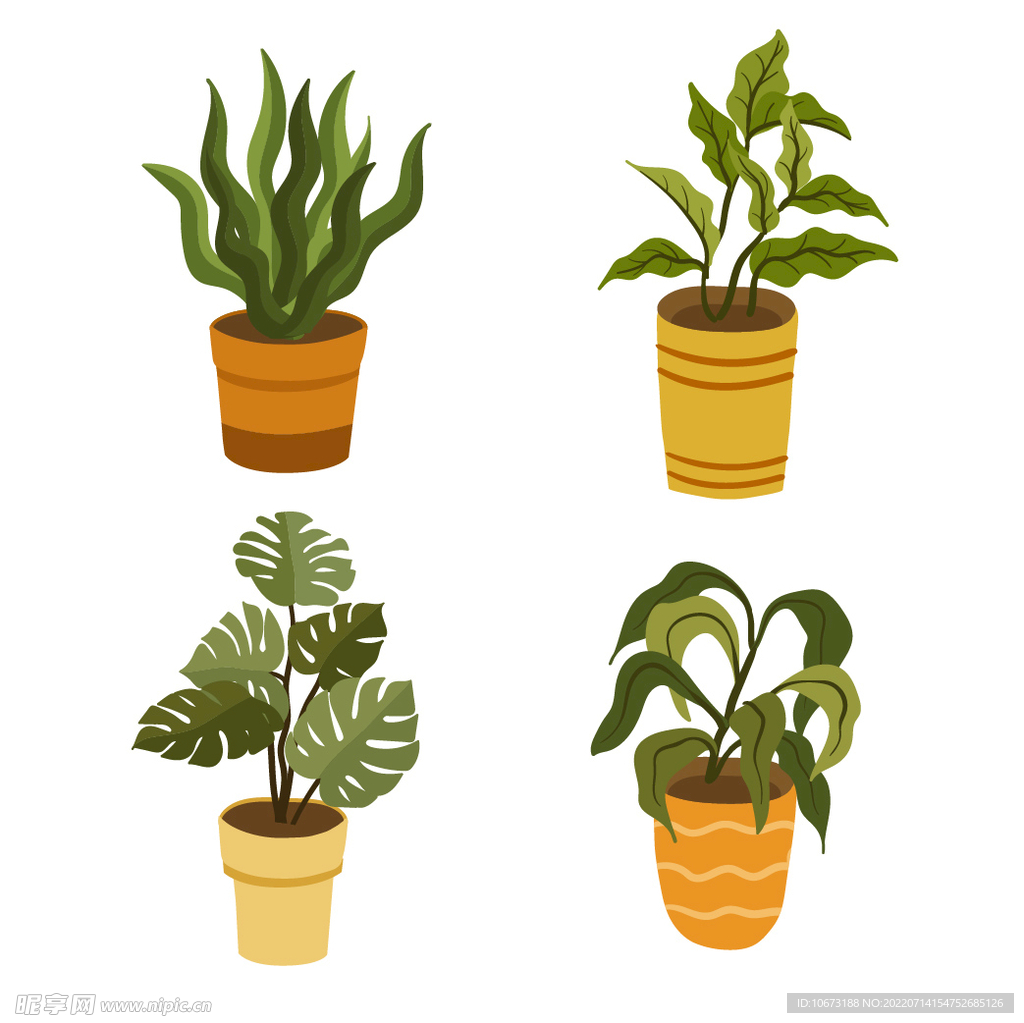 绿色植物