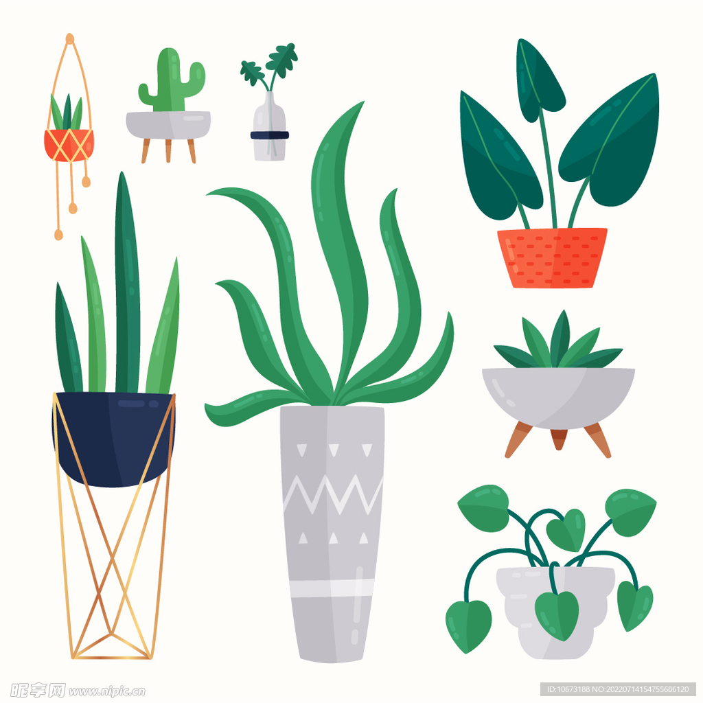 绿色植物