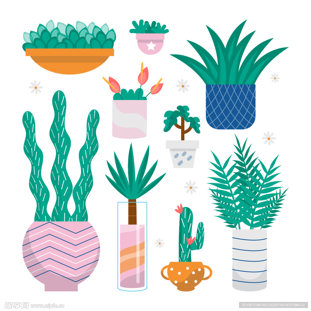 绿色植物