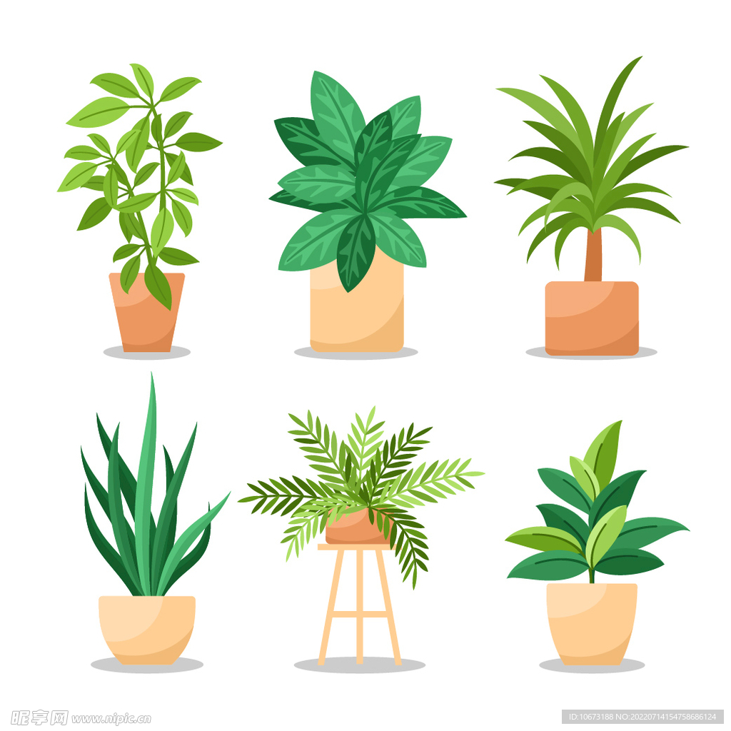 绿色植物