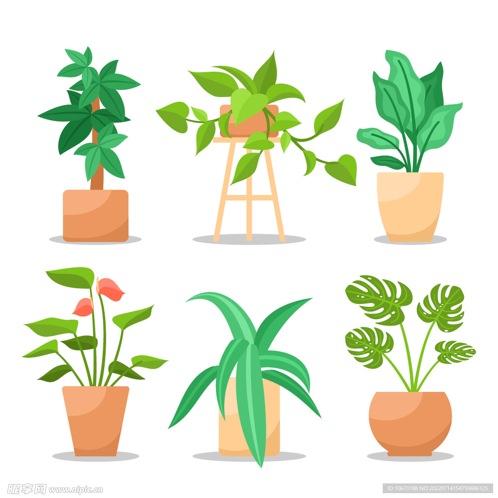 绿色植物