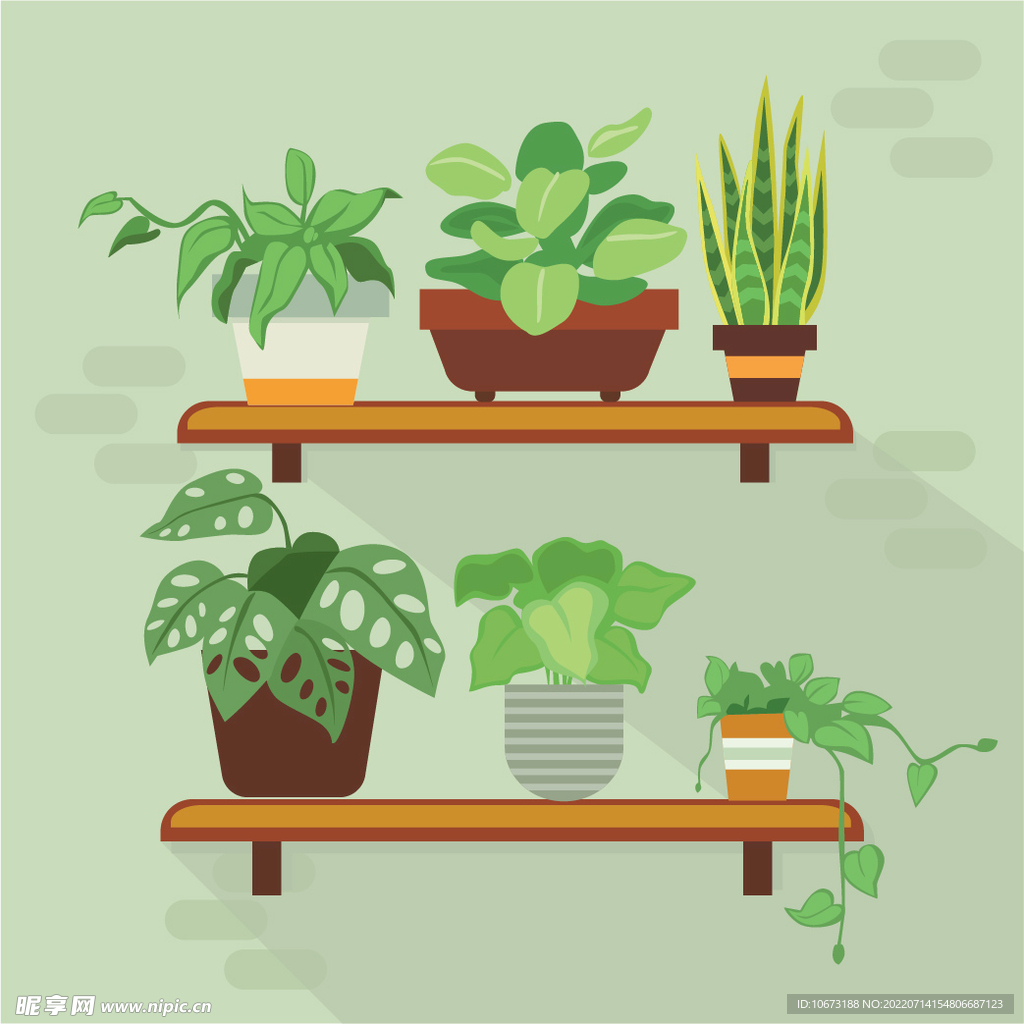 绿色植物