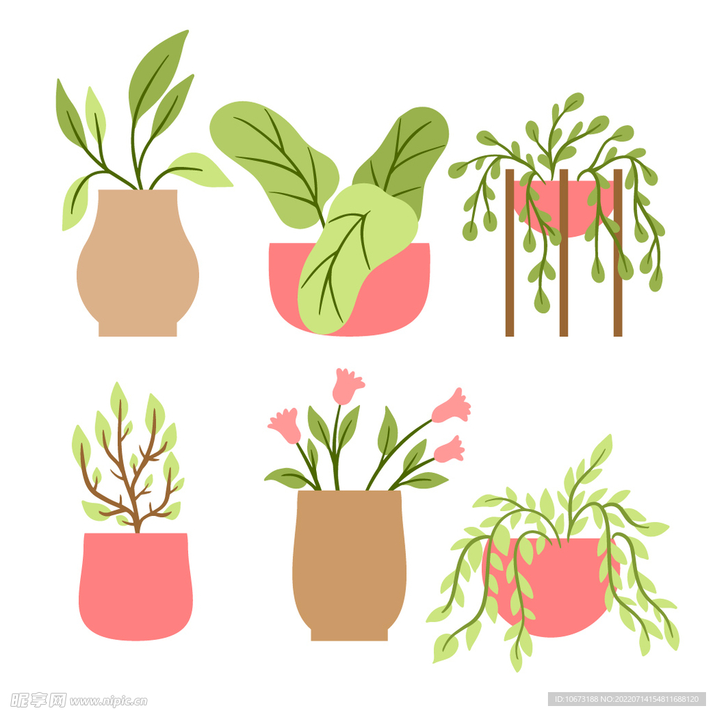 绿色植物