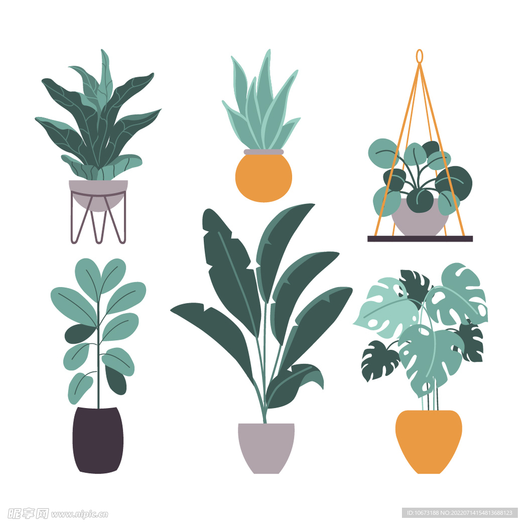 绿色植物