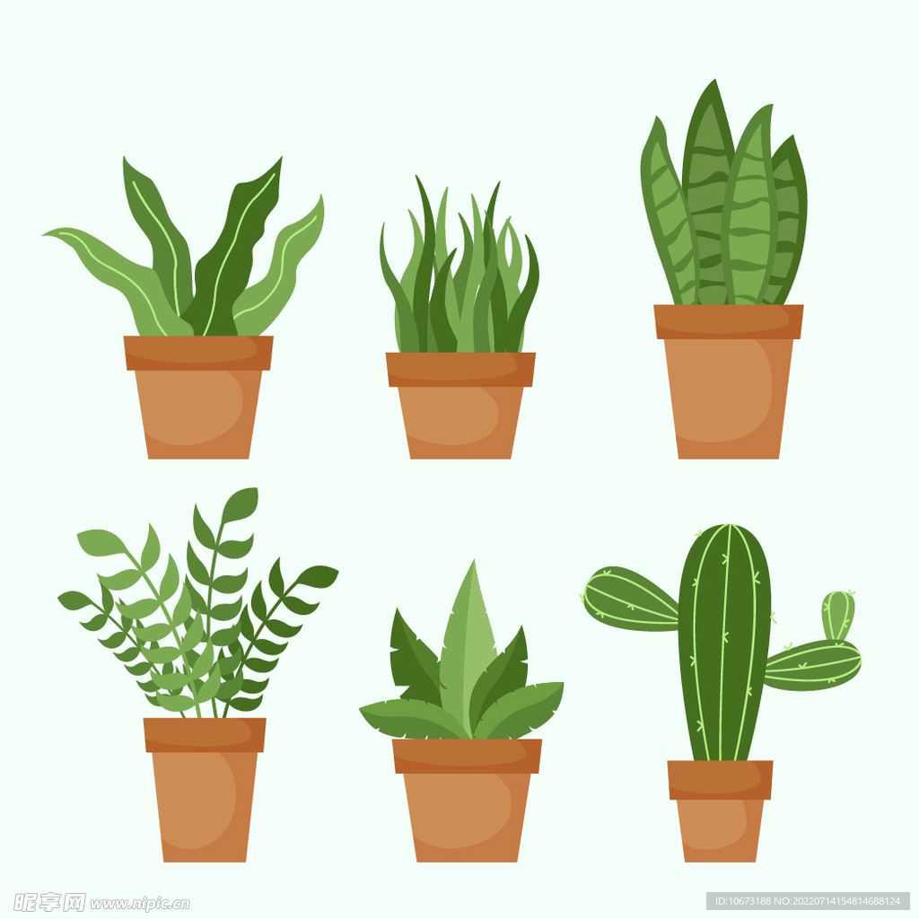 绿色植物