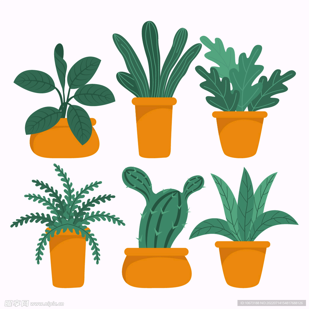 绿色植物