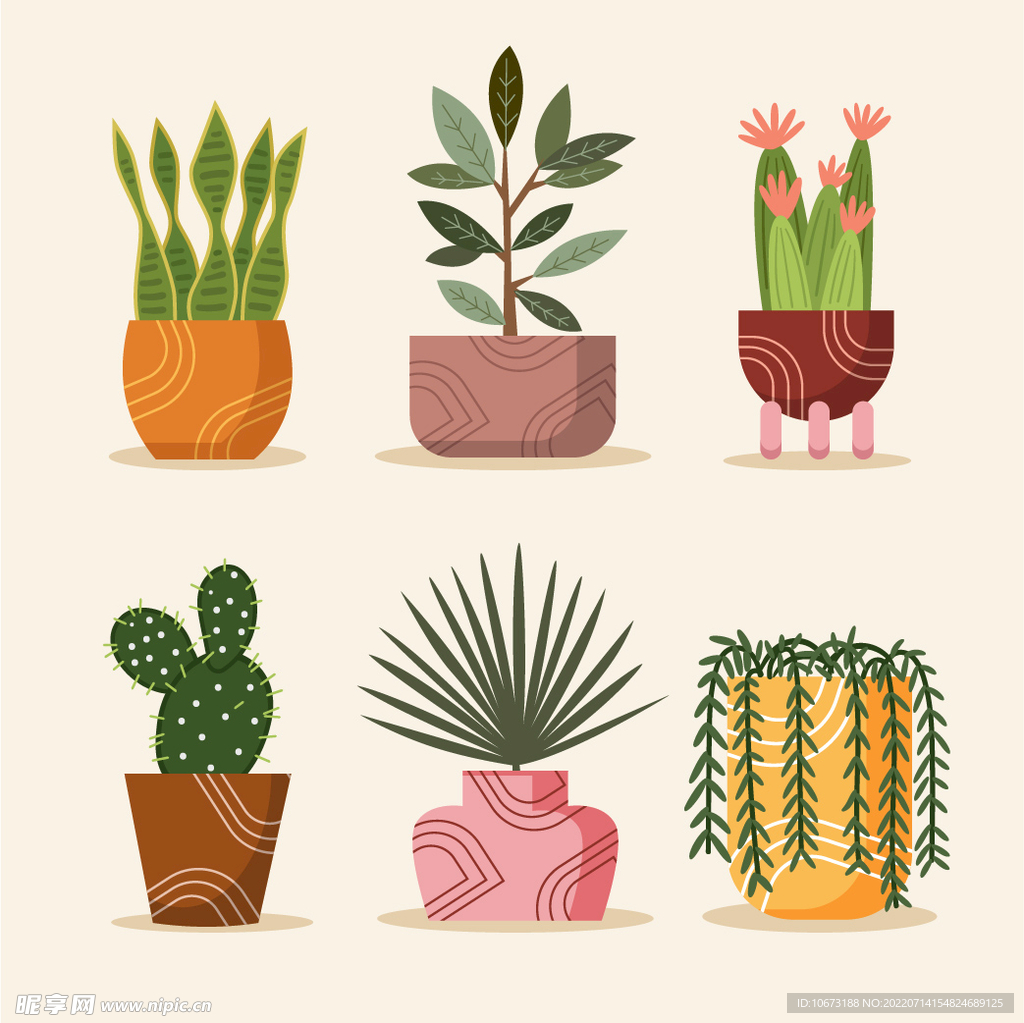 绿色植物