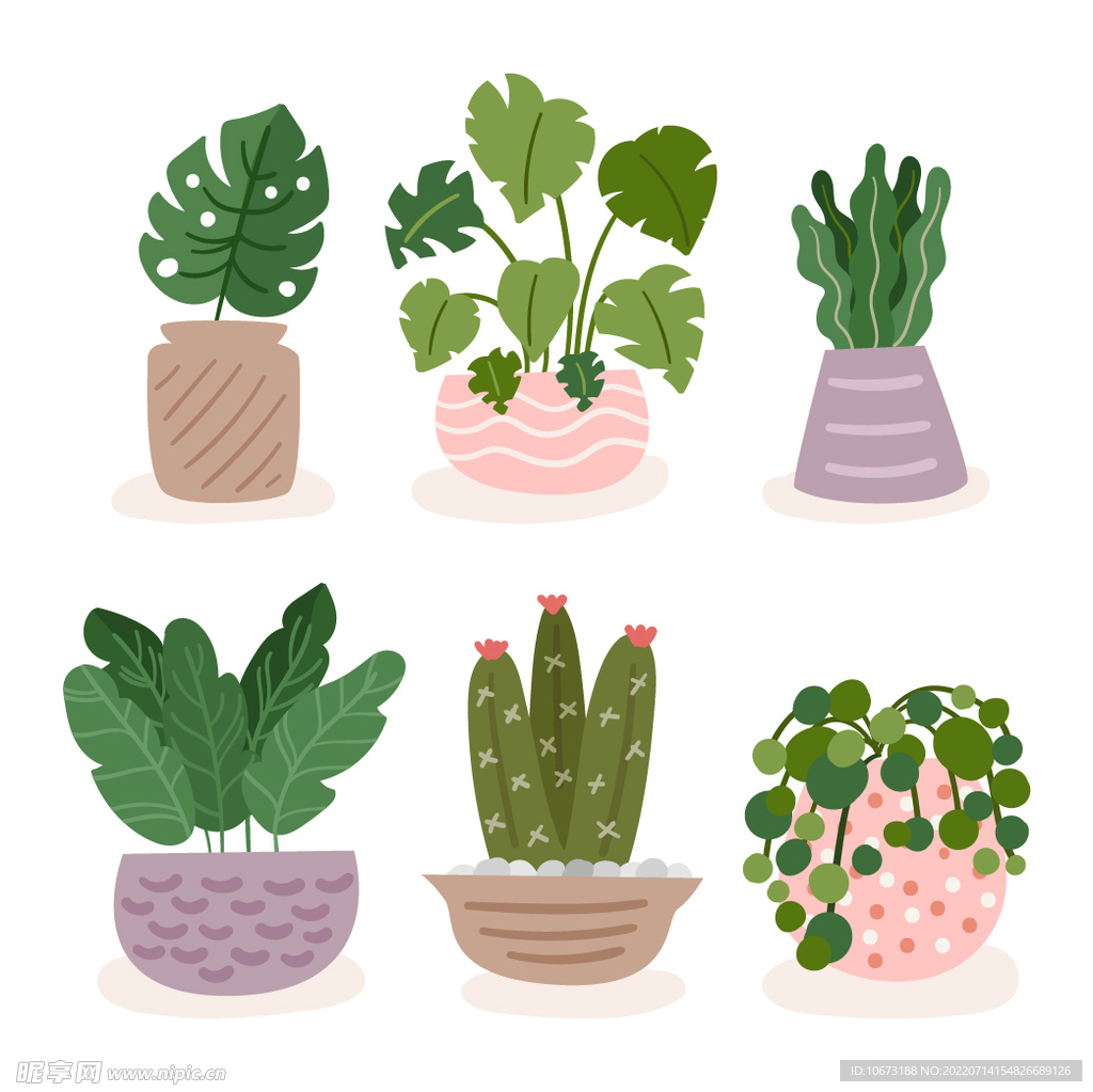 绿色植物