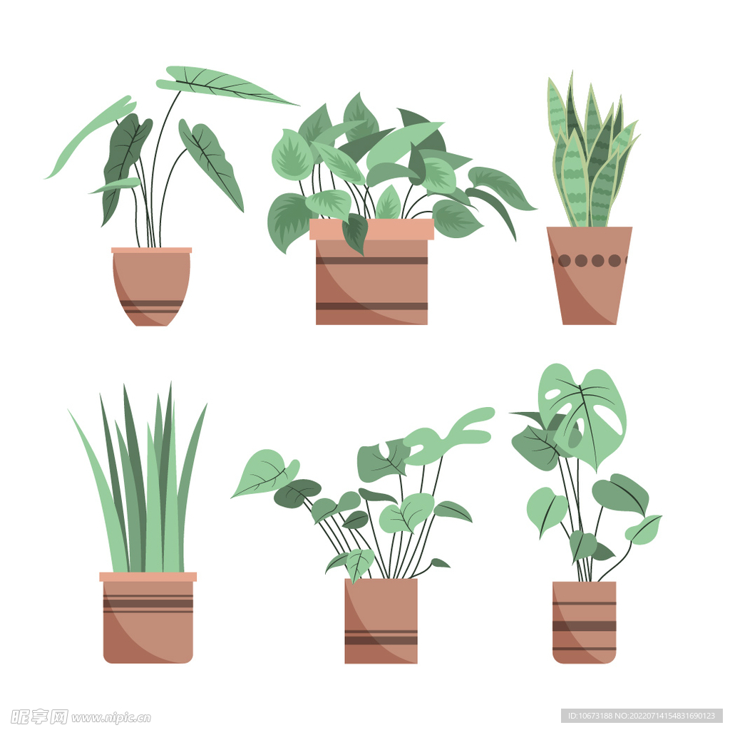 绿色植物