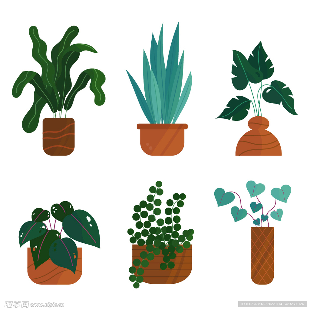 绿色植物