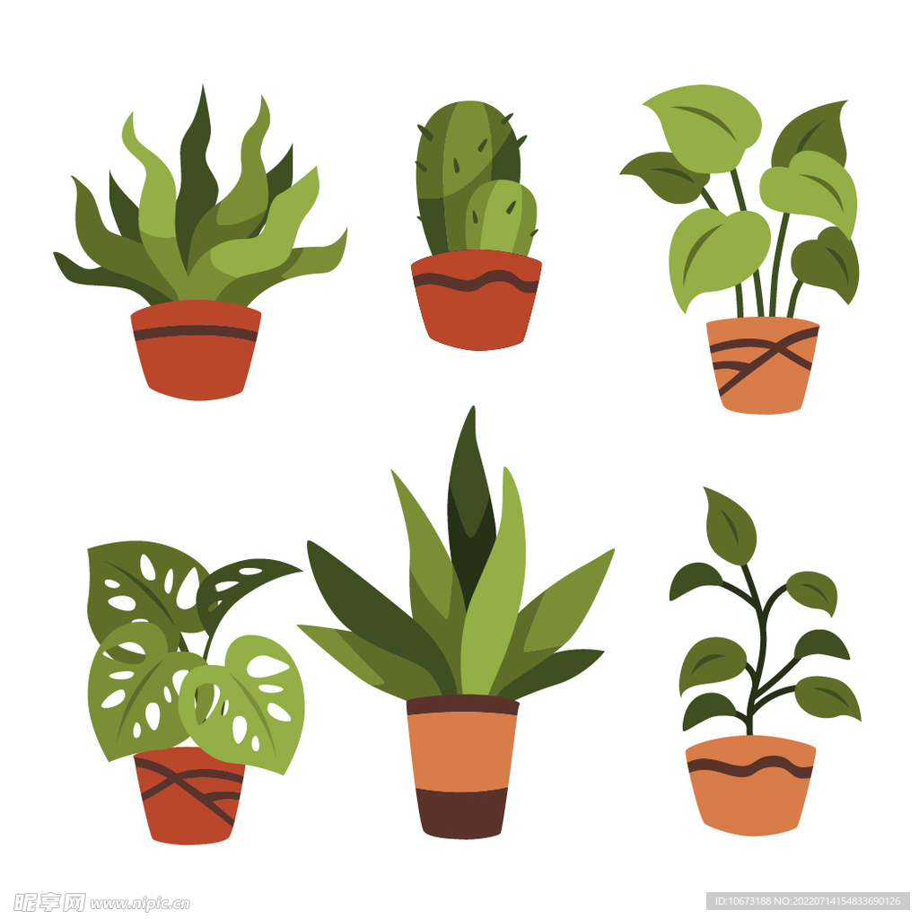 绿色植物
