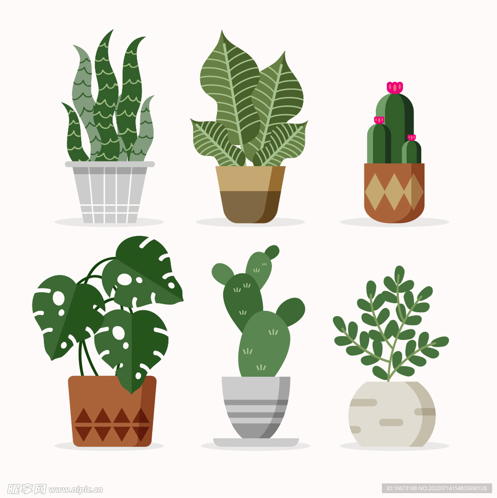 绿色植物
